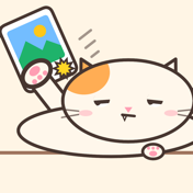 냥펀치 앱 아이콘